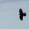 IMG_0989