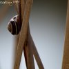 IMG_0340