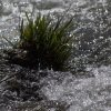 IMG_0347
