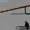 img_8640
