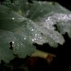 img_8936