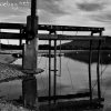 img_9686